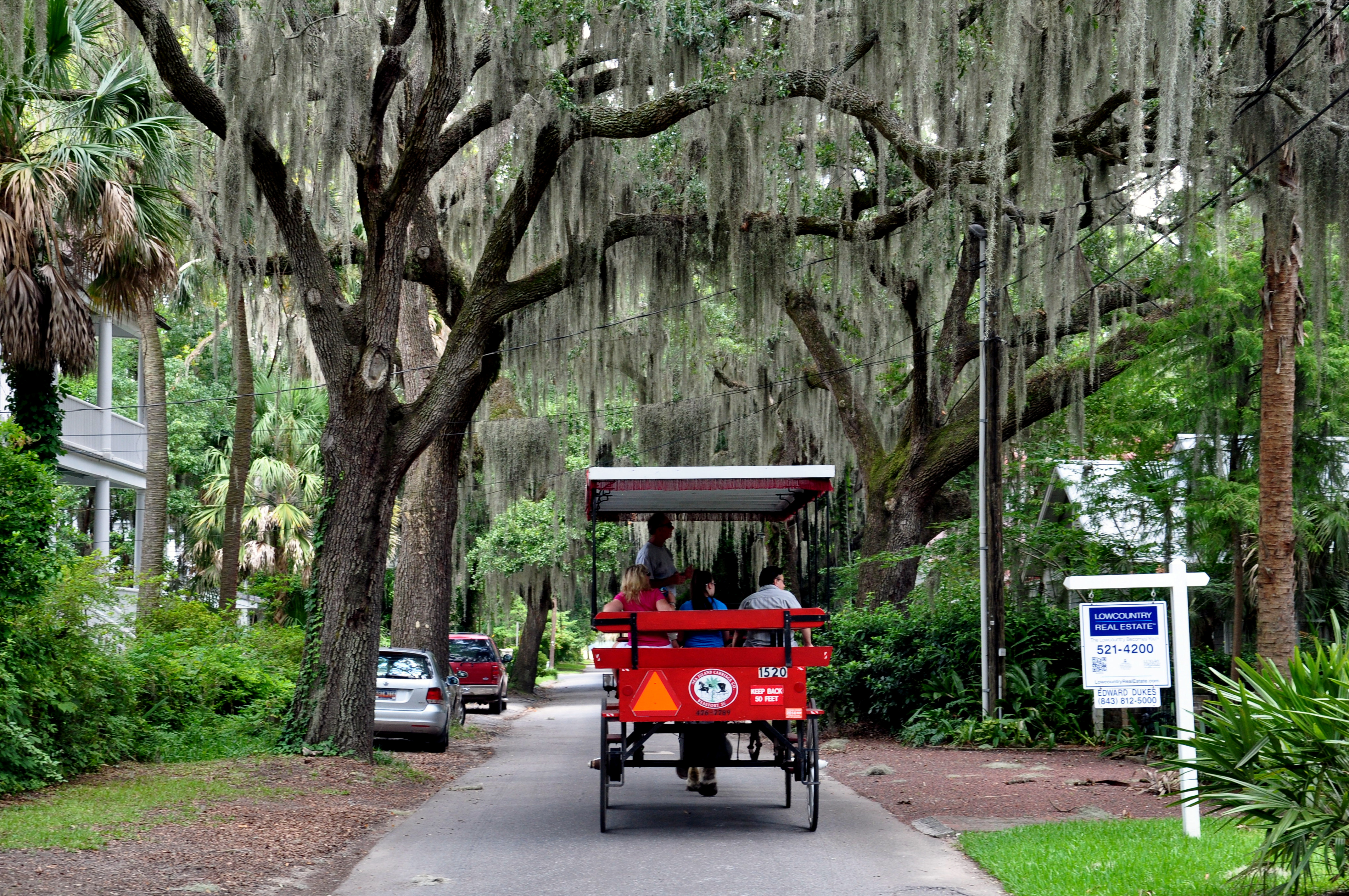Article South Carolina