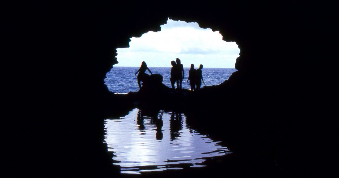 Barbados : Animals Flowers Cave