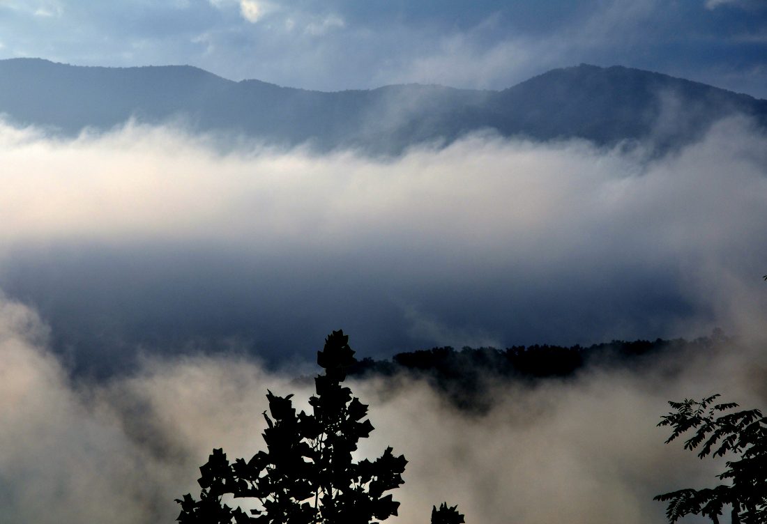 Article Great Smoky Mountains