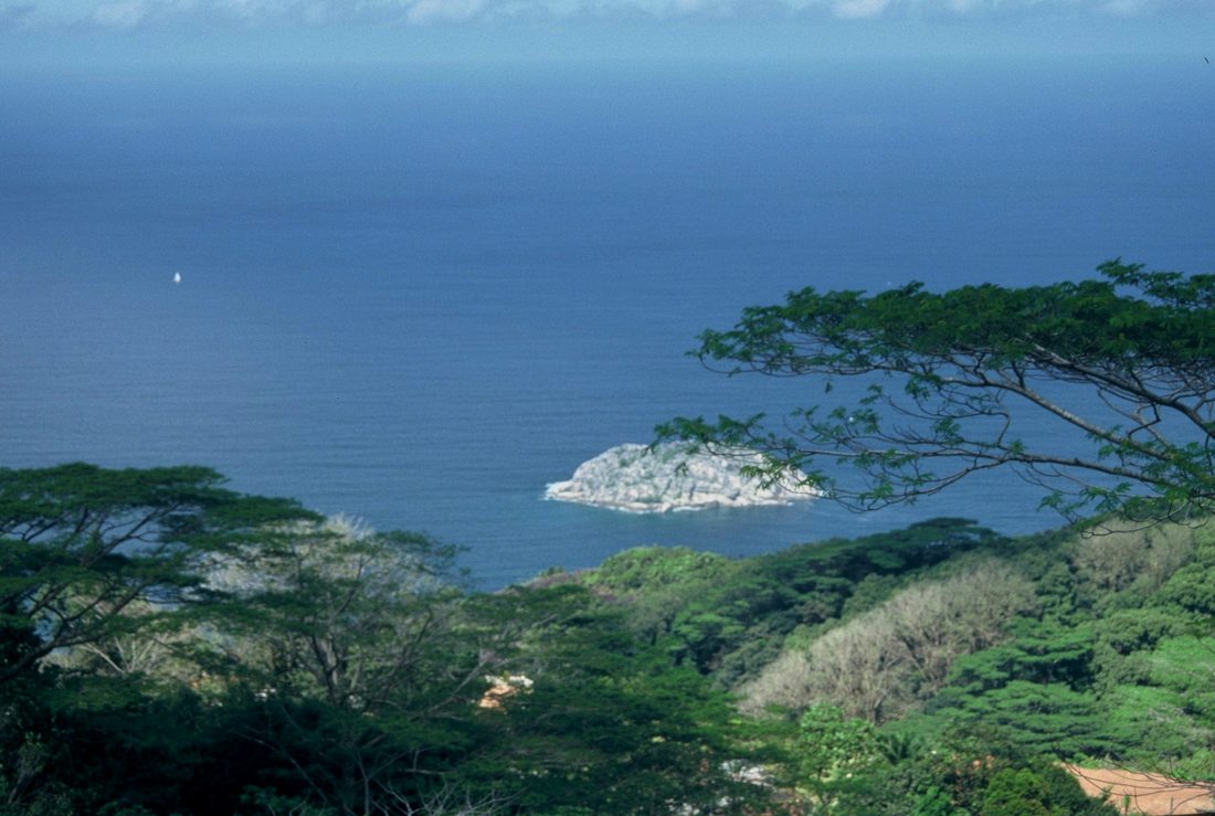 Seychelles : Mahe 1 seychelles morne blanc trail 41 e1527398709926