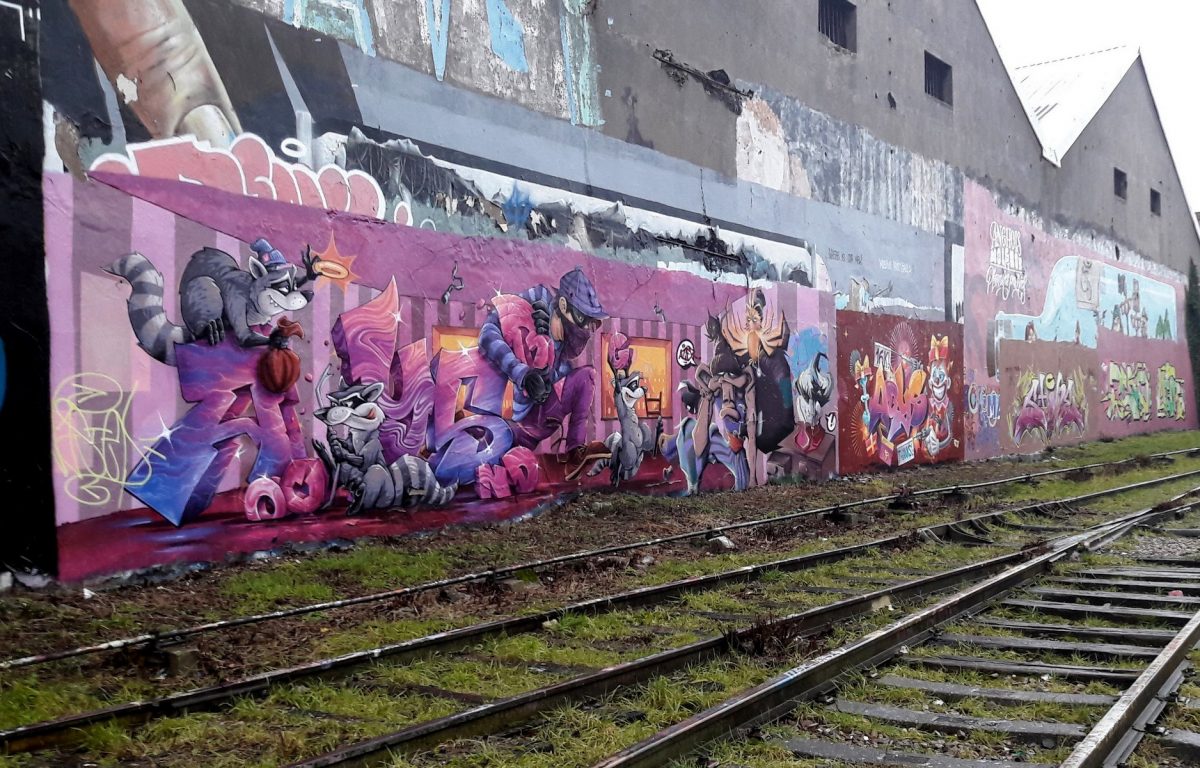 Nancy Street Art : voie ferrée saint-Georges (Abys) Batiment rasé mai 2018