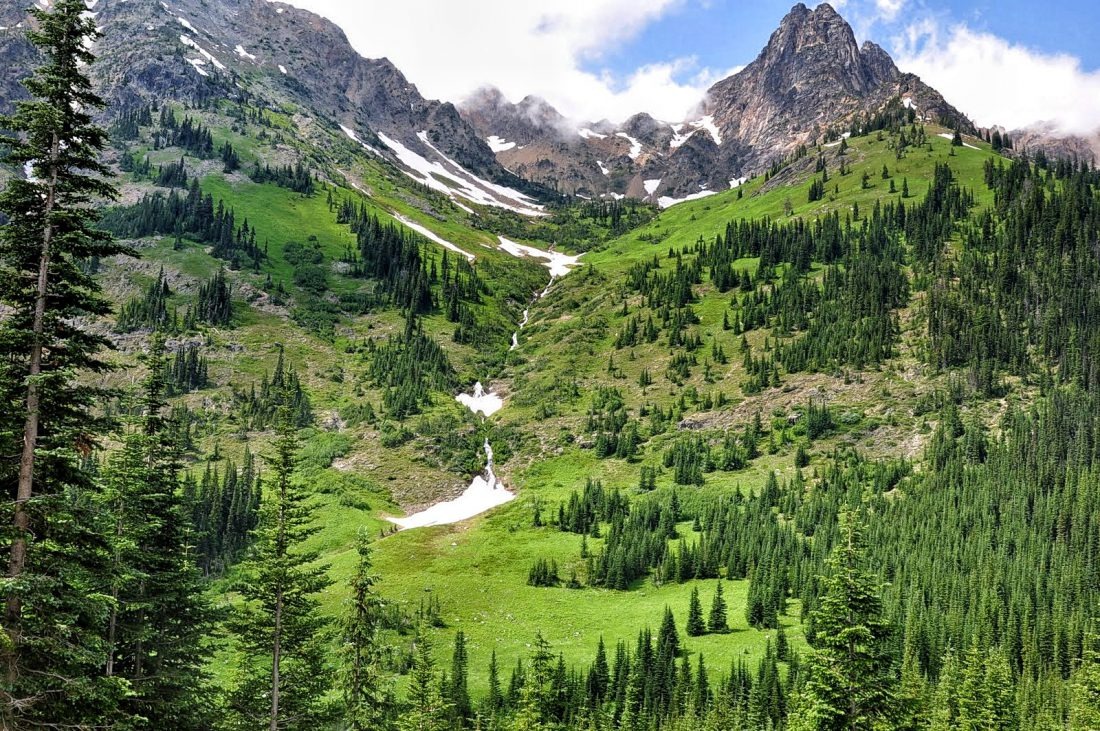 Article Washington State – Idaho