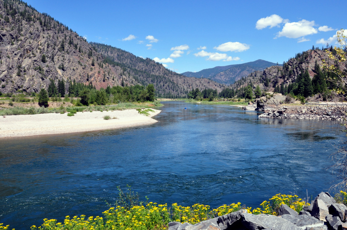 Article Montana West
