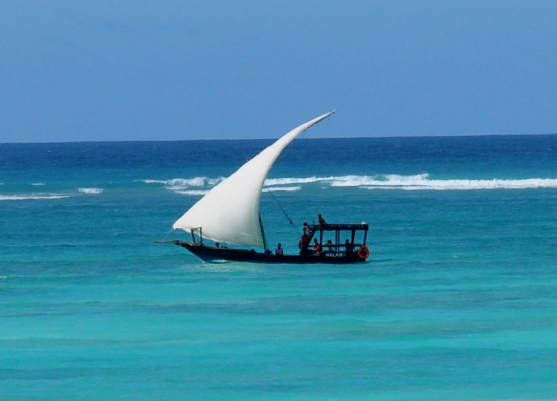 Article  Zanzibar : Unguja North