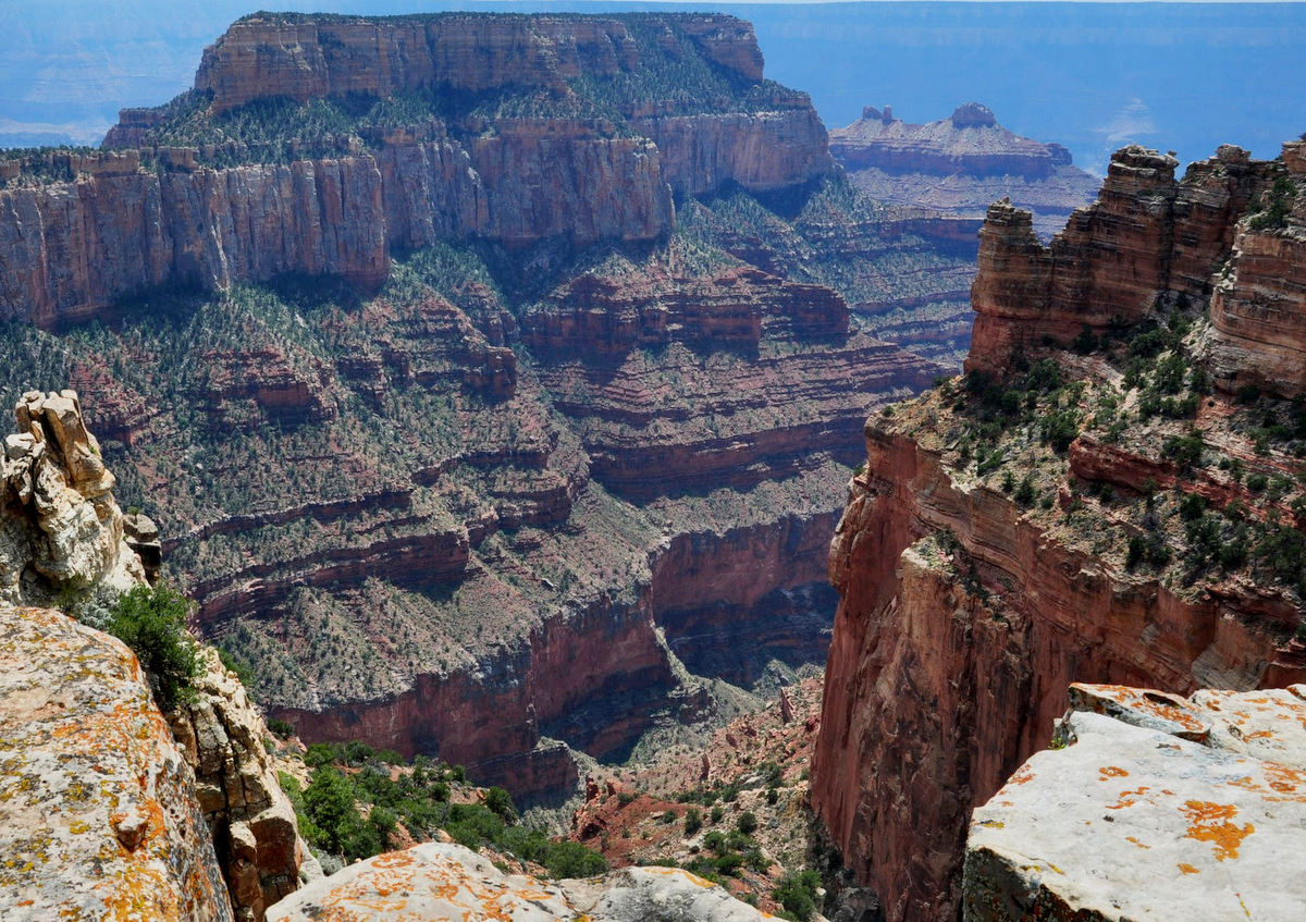 Article Grand Canyon North Rim