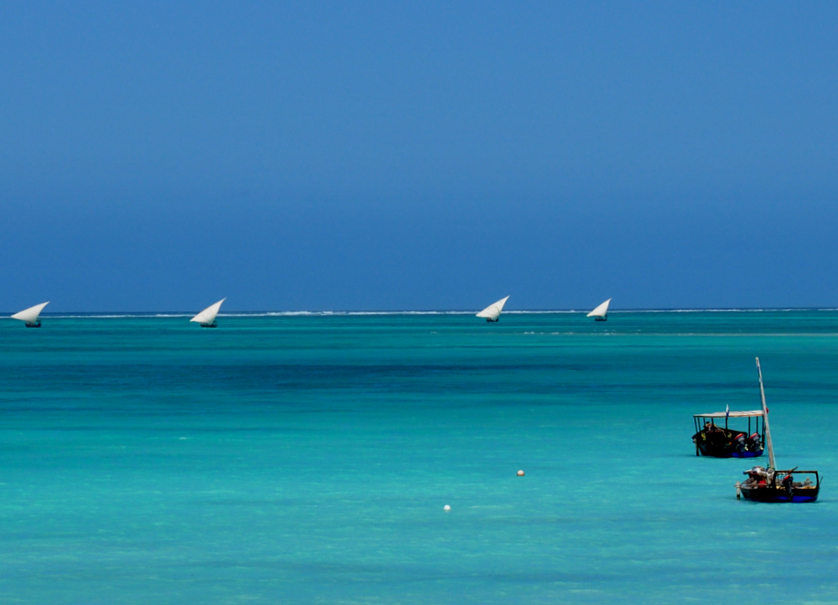 Article Zanzibar : Unguja South
