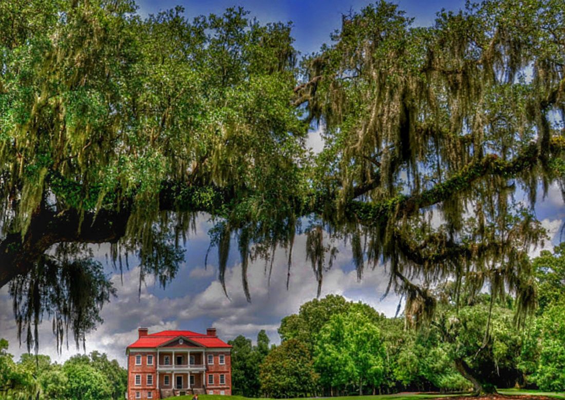 south carolina featured page