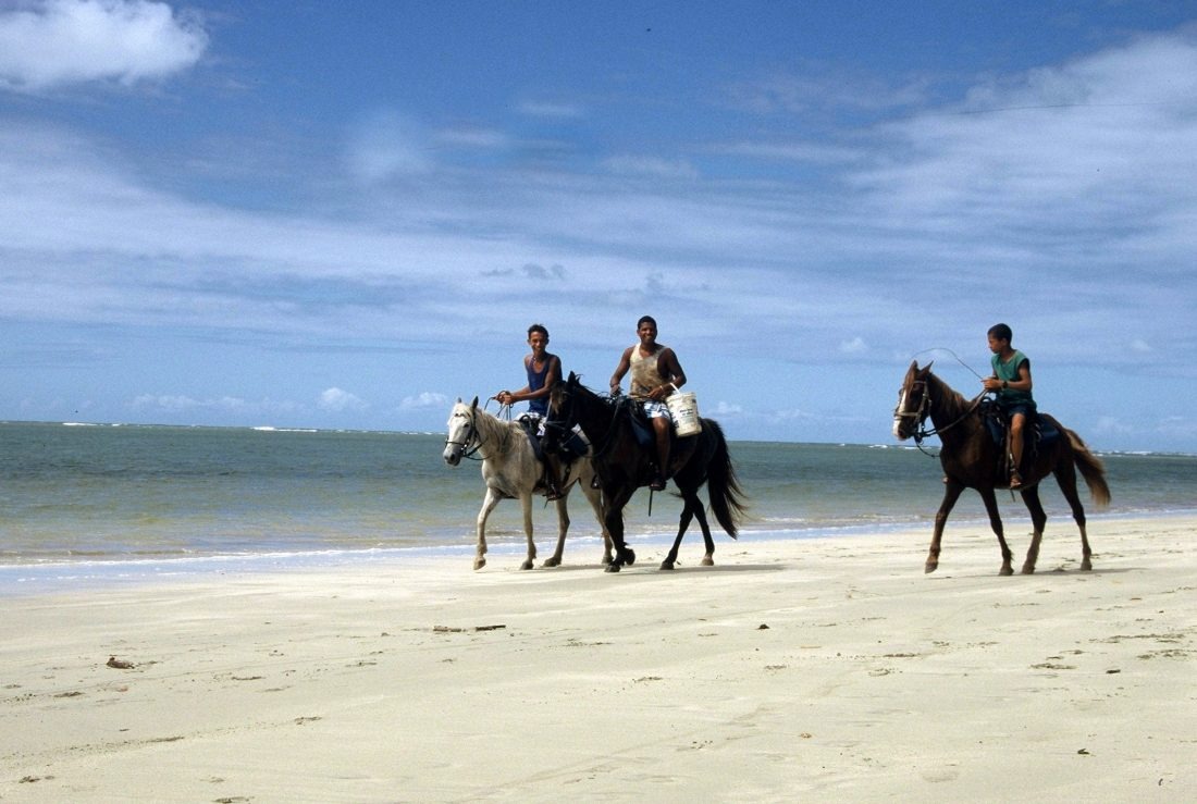 Brasil Bahia : Ilha de Tinhare / Cachoeira 1 tinhare featured